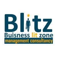 Blitt Capital Management & Consulting